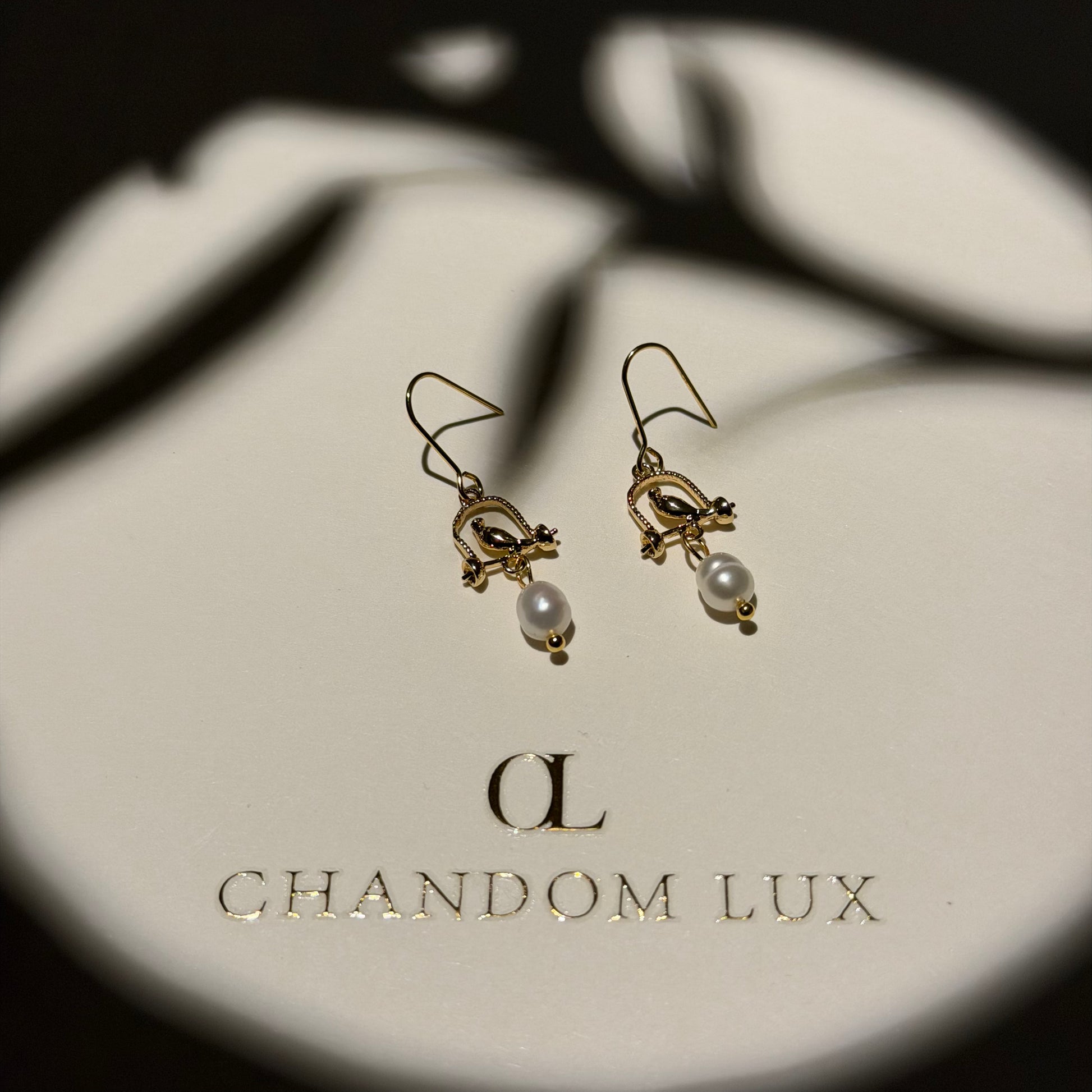 Freshwater Pearl Birdcage Hoop Earrings S925 Silver — close-up of pearl and post detail